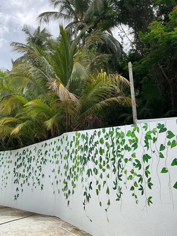 The Serene House Bed & Breakfast Luquillo Εξωτερικό φωτογραφία