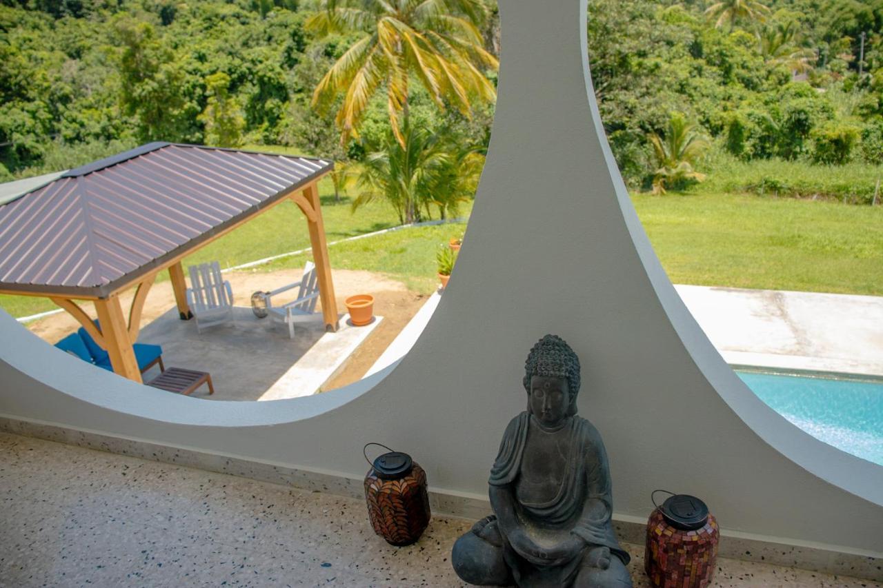 The Serene House Bed & Breakfast Luquillo Εξωτερικό φωτογραφία