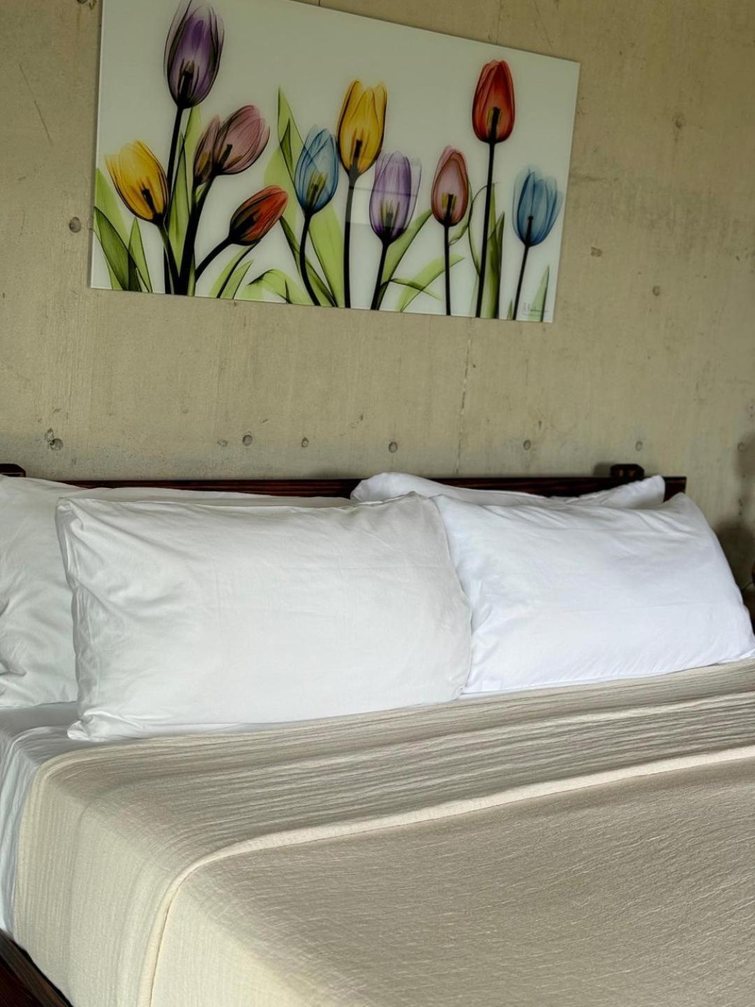The Serene House Bed & Breakfast Luquillo Εξωτερικό φωτογραφία