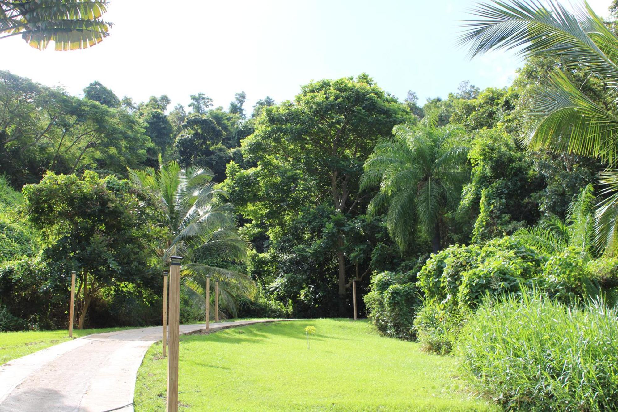 The Serene House Bed & Breakfast Luquillo Εξωτερικό φωτογραφία