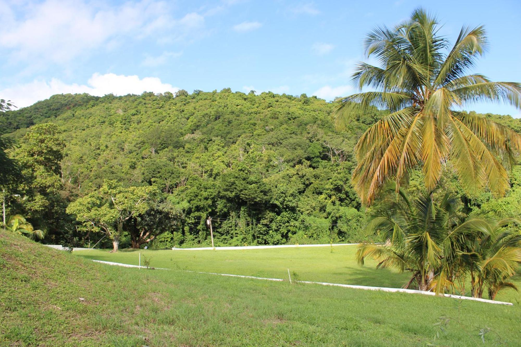 The Serene House Bed & Breakfast Luquillo Εξωτερικό φωτογραφία