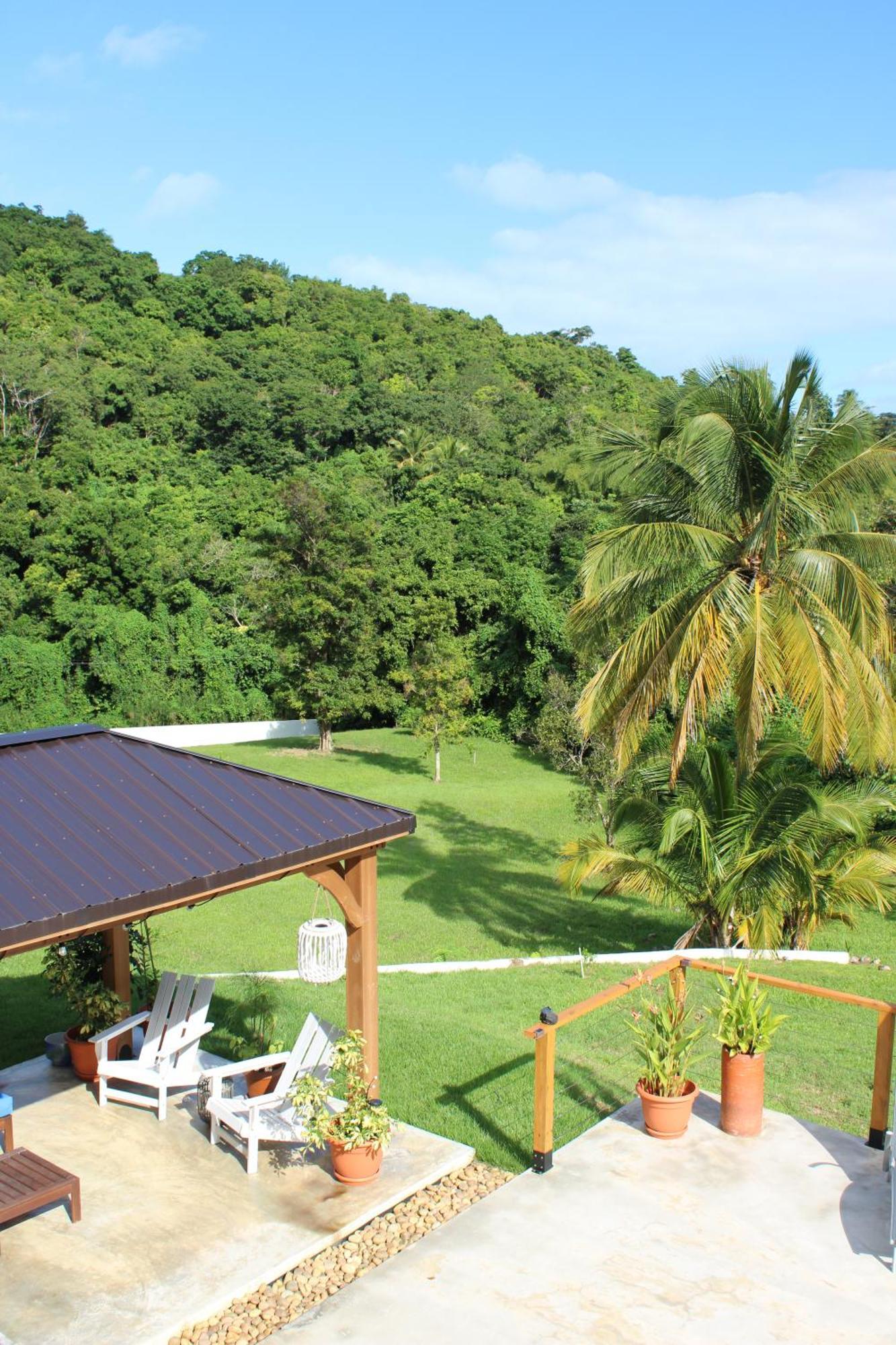 The Serene House Bed & Breakfast Luquillo Εξωτερικό φωτογραφία