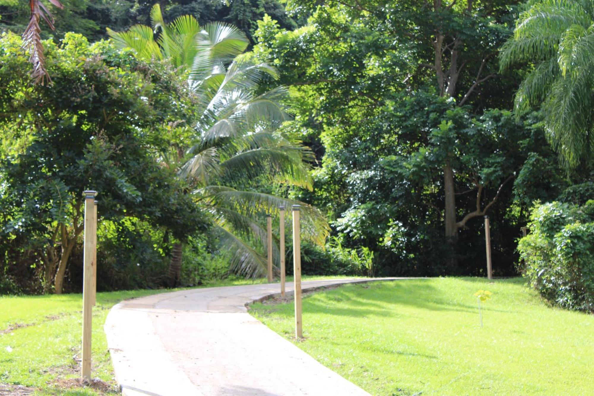 The Serene House Bed & Breakfast Luquillo Εξωτερικό φωτογραφία
