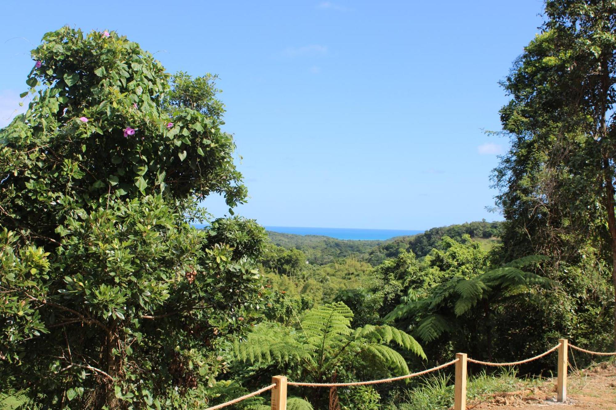 The Serene House Bed & Breakfast Luquillo Εξωτερικό φωτογραφία