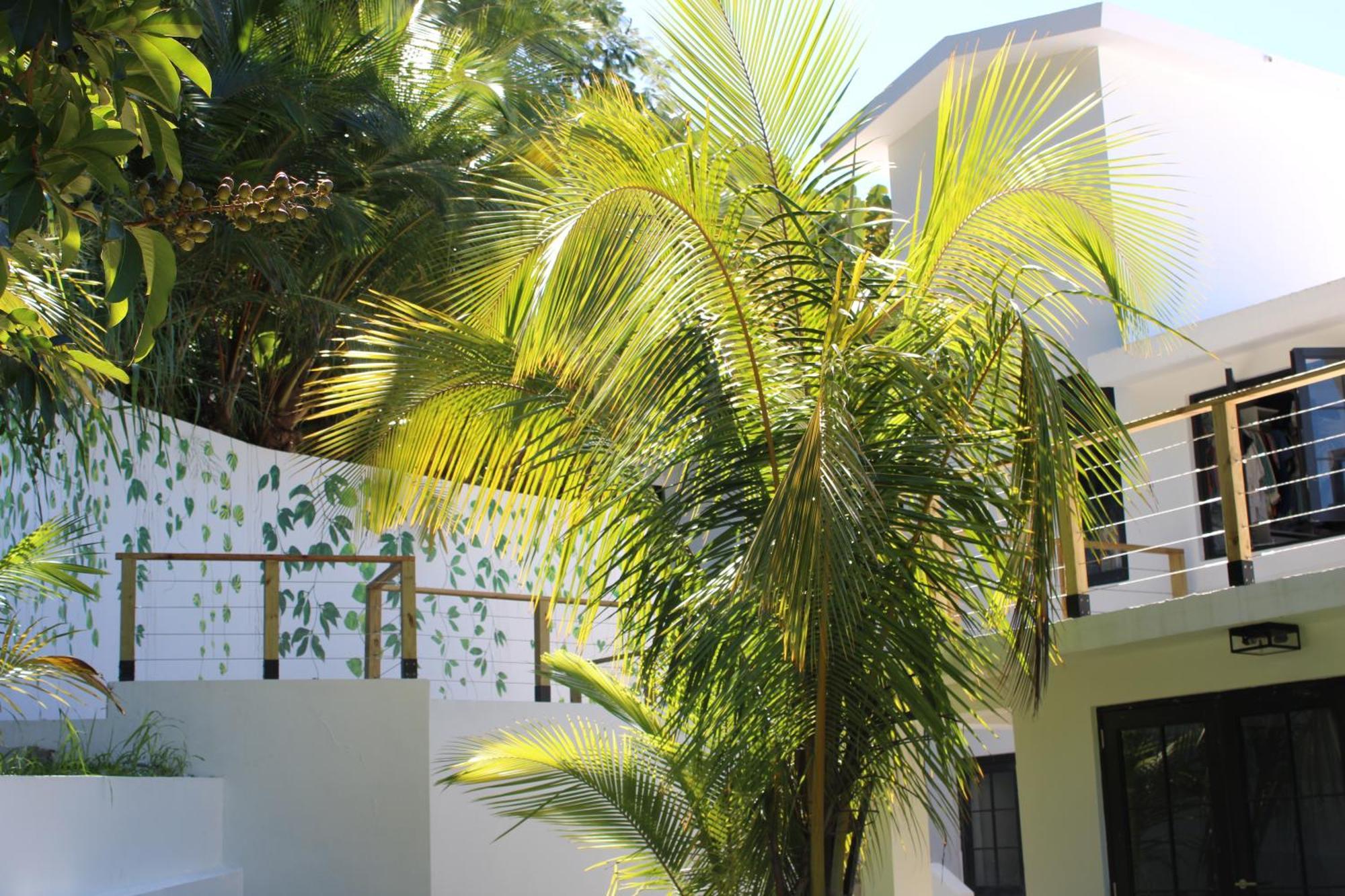 The Serene House Bed & Breakfast Luquillo Εξωτερικό φωτογραφία